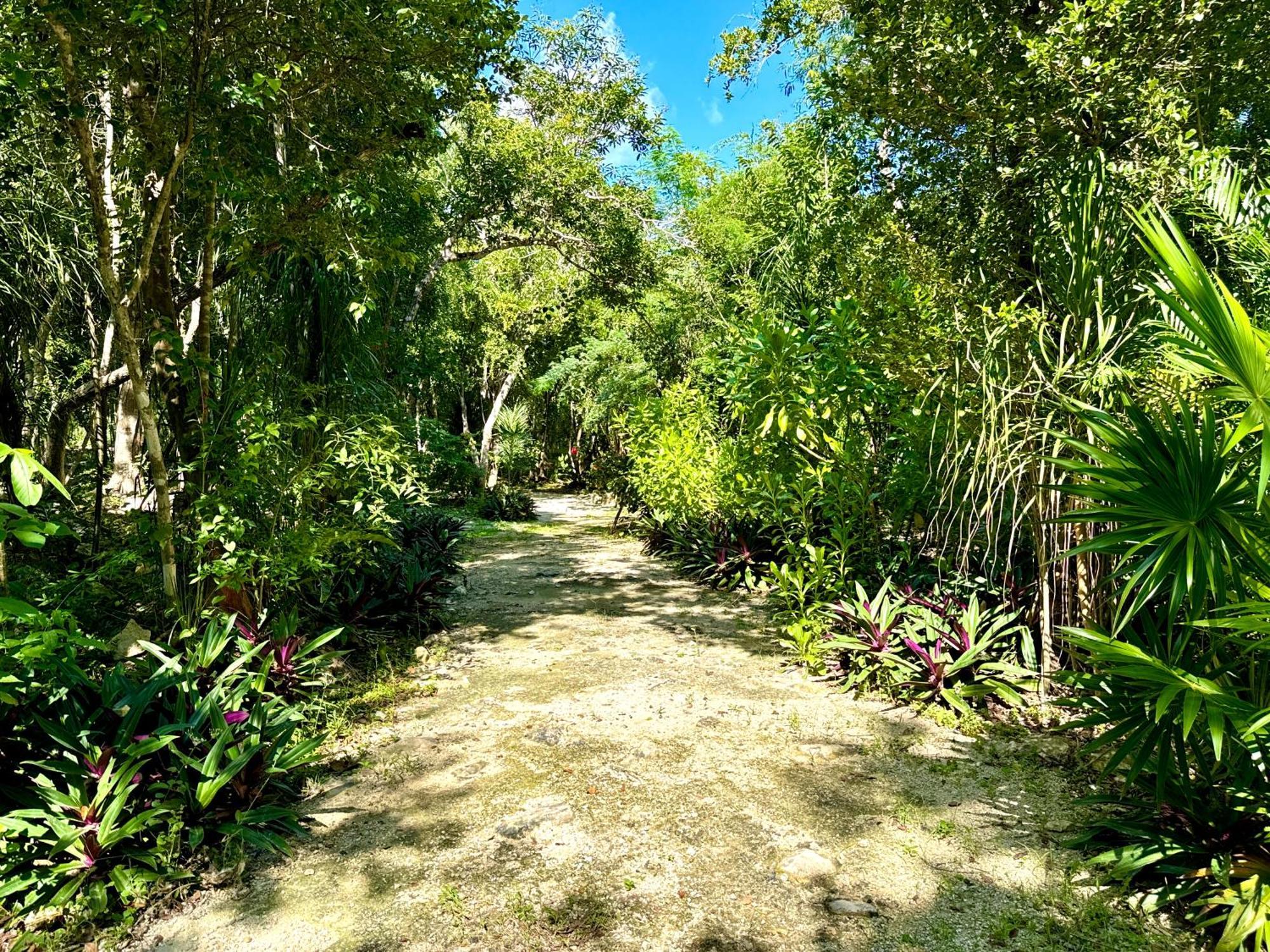 Glamping Bunga Lotus Hotell Tulum Eksteriør bilde