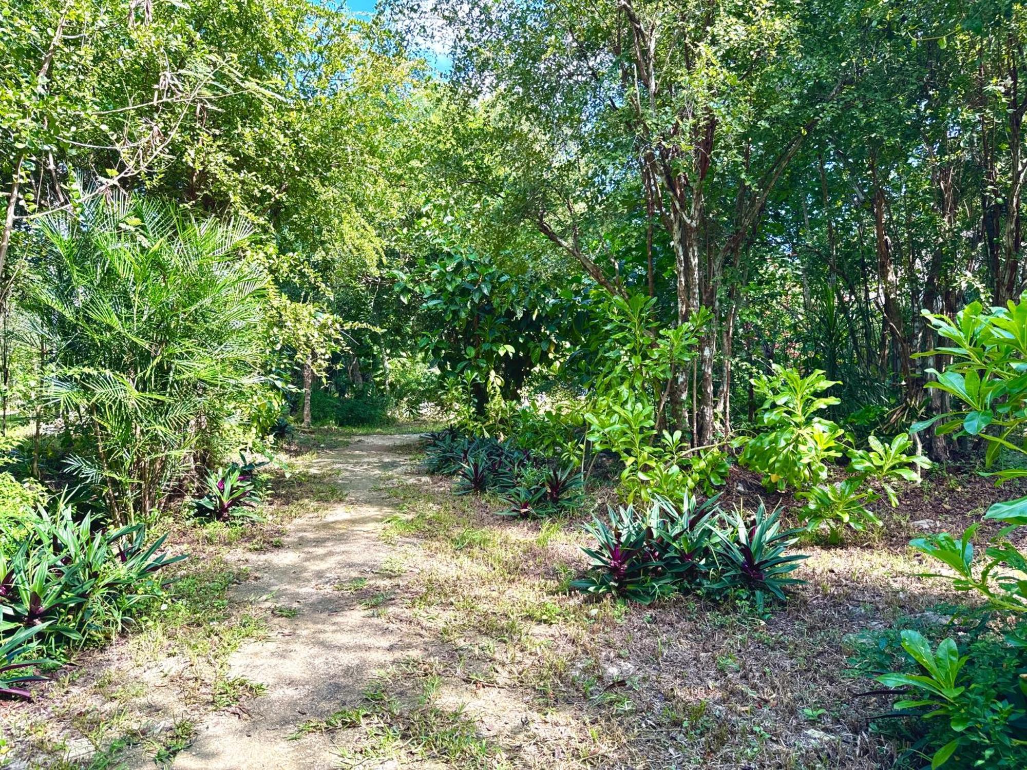 Glamping Bunga Lotus Hotell Tulum Eksteriør bilde