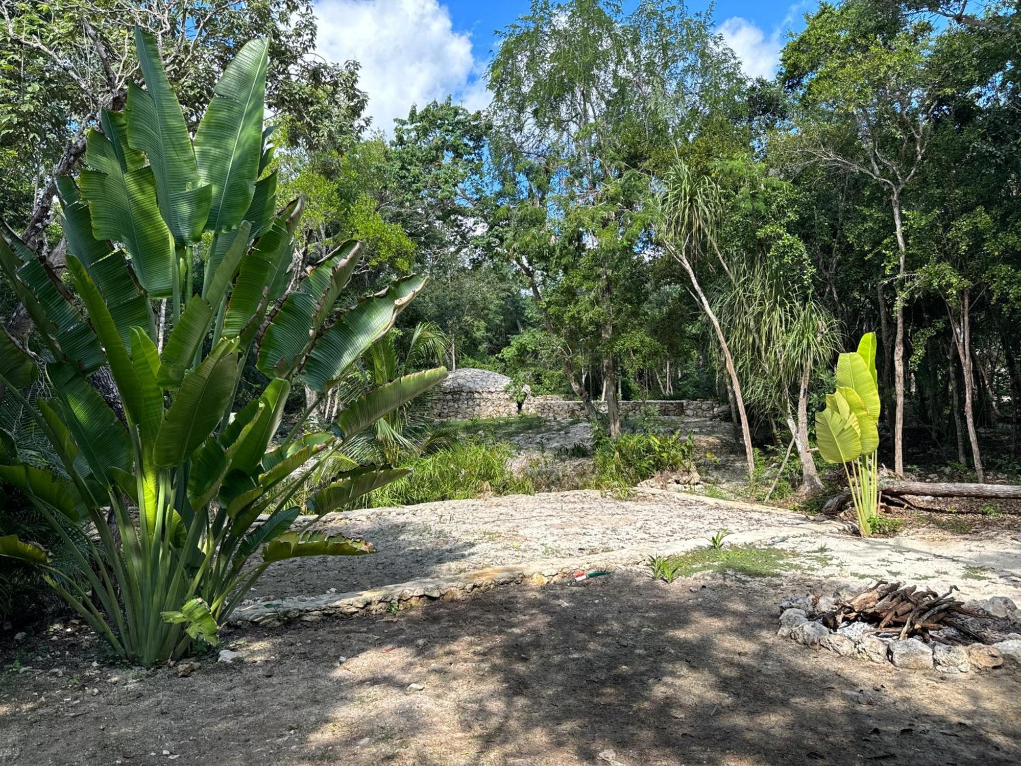 Glamping Bunga Lotus Hotell Tulum Eksteriør bilde
